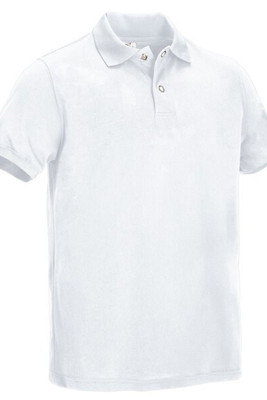 Valento POVATAM - Polo TAMESIS