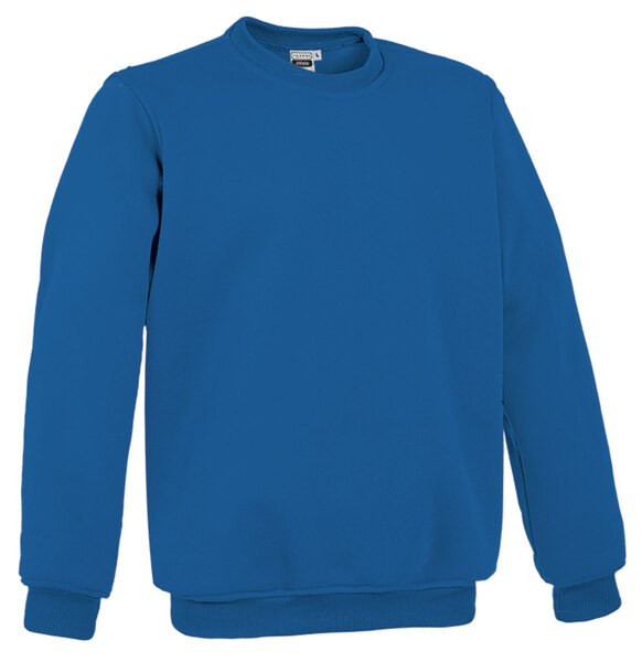 Valento SUVASTE - Sweatshirt STEVEN