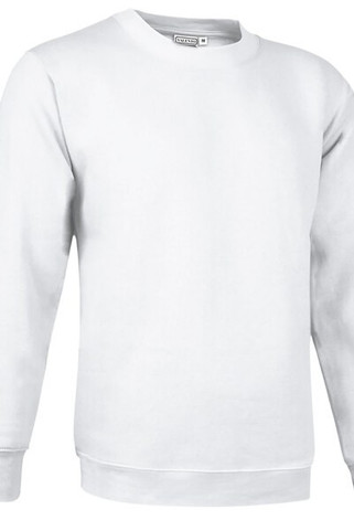 Valento SUVACCA - Sweatshirt DUBLIN