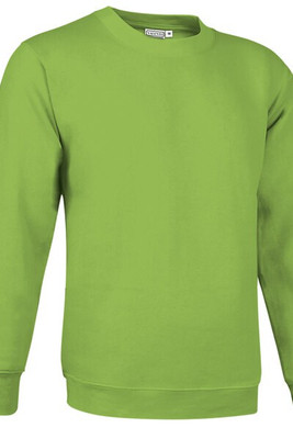 Valento SUVACCA - Sweatshirt DUBLIN