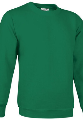Valento SUVACCA - Sweatshirt DUBLIN