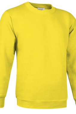 Valento SUVACCA - Sweatshirt DUBLIN