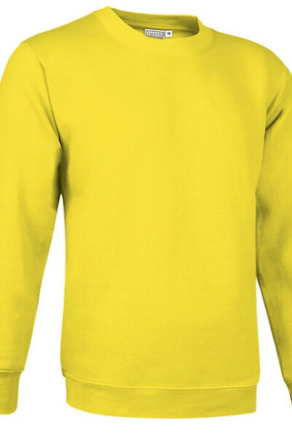 Valento SUVACCA - Sweat-shirt DUBLIN