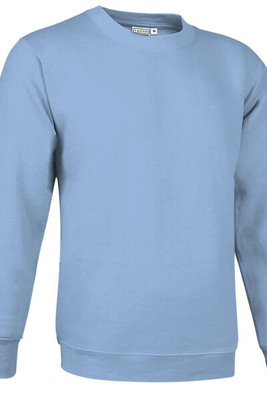 Valento SUVACCA - Sweatshirt DUBLIN