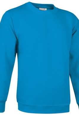 Valento SUVACCA - Sweat-shirt DUBLIN