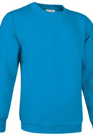 Valento SUVACCA - Sweatshirt DUBLIN