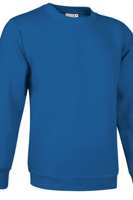 Valento SUVACCA - Sweatshirt DUBLIN