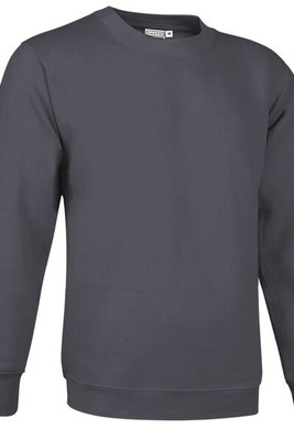 Valento SUVACCA - Sweatshirt DUBLIN