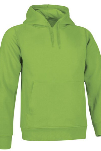 Valento SUVAARI - Sweatshirt ARIZONA