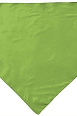 Valento PNVAFIE - Foulard triangulaire FIESTA