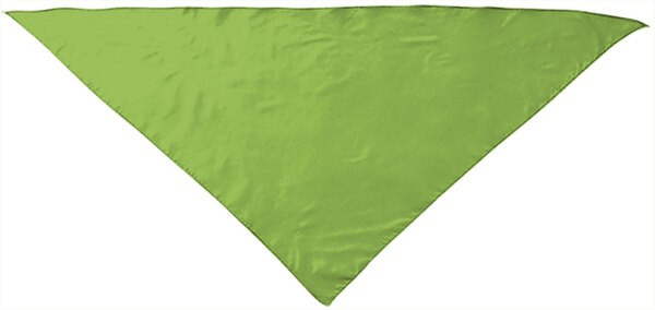 Valento PNVAFIE - Triangular scarf FIESTA