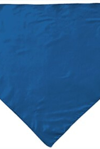 Valento PNVAFIE - Driehoekige sjaal FIESTA