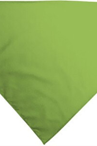 Valento PNVAPOP - Dreieckstuch GALA