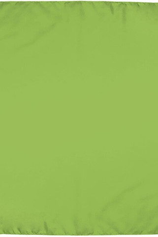 Valento PNVABAN - Quadratisches Halstuch BANDANA