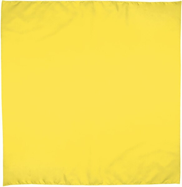 Valento PNVABAN - Square scarf BANDANA