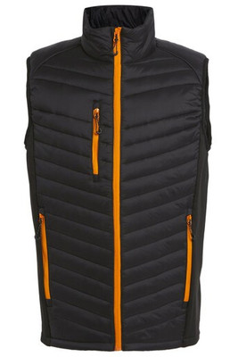 REGATTA RGA894 - Bodywarmer bi-matière homme