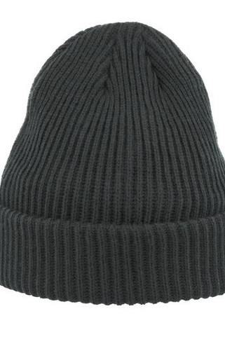 ATLANTIS HEADWEAR AT271 - Eco-Friendly Ribbed Beanie with Polartec Lining