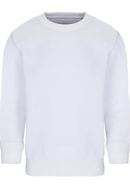 SOL'S 04239 - COLUMBIA KIDS Kids' Sweatshirt