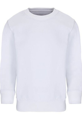 SOLS 04239 - COLUMBIA KIDS Kids Sweatshirt