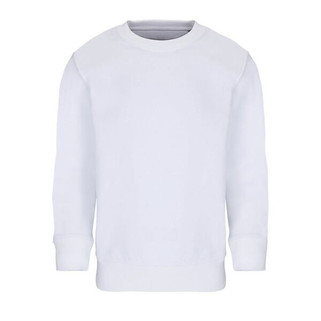 SOLS 04239 - COLUMBIA KIDS Kids Sweatshirt