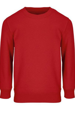 SOLS 04239 - COLUMBIA KIDS Kids Sweatshirt