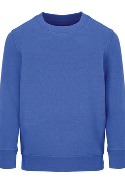SOLS 04239 - COLUMBIA KIDS Kids Sweatshirt