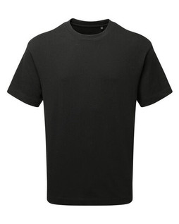 ANTHEM AM015 - Organic Cotton Heavyweight Mens Fashion Tee