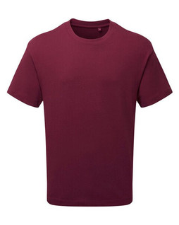 ANTHEM AM015 - Organic Cotton Heavyweight Mens Fashion Tee