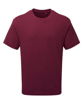 ANTHEM AM015 - Organic Cotton Heavyweight Men's Fashion Tee