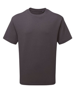 ANTHEM AM015 - Organic Cotton Heavyweight Mens Fashion Tee