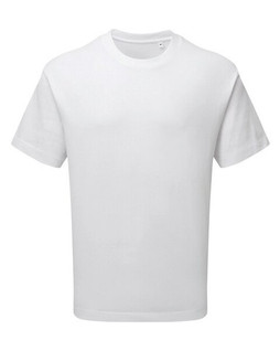 ANTHEM AM015 - Organic Cotton Heavyweight Mens Fashion Tee