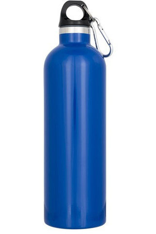 Atlantic 530 ml vacuum insulated bottle - EgotierPro 100528