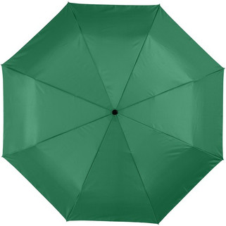 Parapluie 21.5" 3 sections ouverture fermeture automatique Alex - EgotierPro 109016