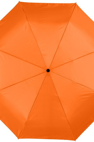 Alex 21.5" foldable auto open/close umbrella - EgotierPro 109016