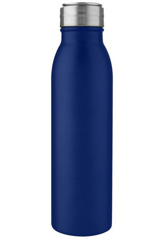 Harper 700 ml stainless steel water bottle with metal loop - EgotierPro 100678