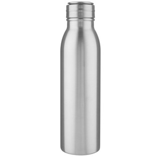 Harper 700 ml stainless steel water bottle with metal loop - EgotierPro 100678