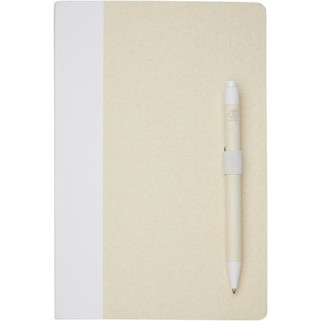 Eco-Friendly Recycled Milk Carton Notebook & Pen Set - EgotierPro 107811