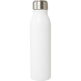 EgotierPro 100792 - Eco-Friendly 700ml Stainless Steel Water Bottle with Loop