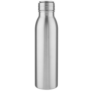 Eco-Friendly 700ml Stainless Steel Water Bottle with Loop - EgotierPro 100792