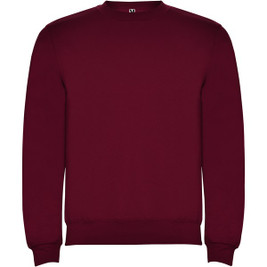 Roly K1070 - Clasica kids crewneck sweater