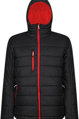 Regatta Professional RTRA241 - Regatta Mens Thermal Hooded Jacket with Recycled Padding