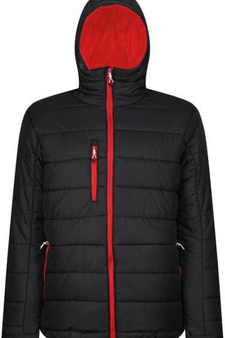 Regatta Professional RTRA241 - Regatta Mens Thermal Hooded Jacket with Recycled Padding