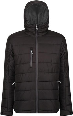 Regatta Professional RTRA241 - Regatta Mens Thermal Hooded Jacket with Recycled Padding