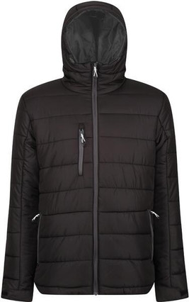 Regatta Professional RTRA241 - Regatta Men's Thermal Hooded Jacket with Recycled Padding