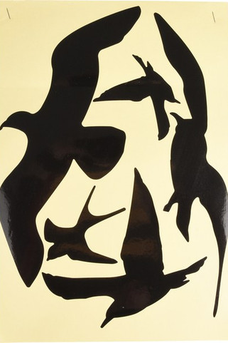 Flamingo f-101770 - Silhouettes Anti-Collision pour Fenêtres