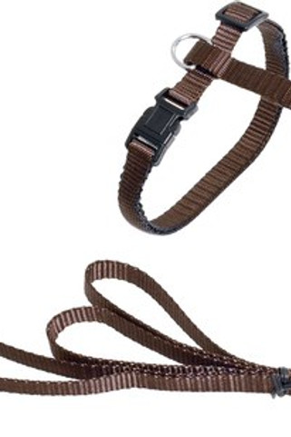 Flamingo f-1031211 - Harnais Réglable pour Chats avec Laisse Robuste