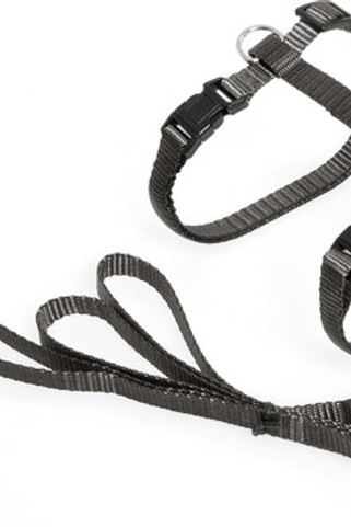 Flamingo f-1031207 - Durable All-Weather Adjustable Cat Harness with Leash