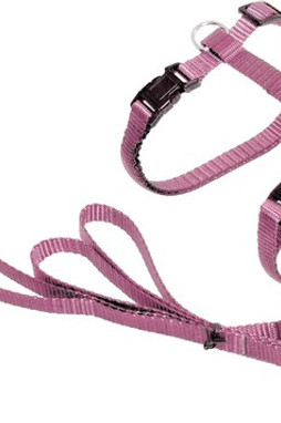 Flamingo f-1031211 - Harnais Réglable pour Chats avec Laisse Robuste