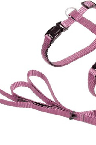 Flamingo f-1031211 - Harnais Réglable pour Chats avec Laisse Robuste