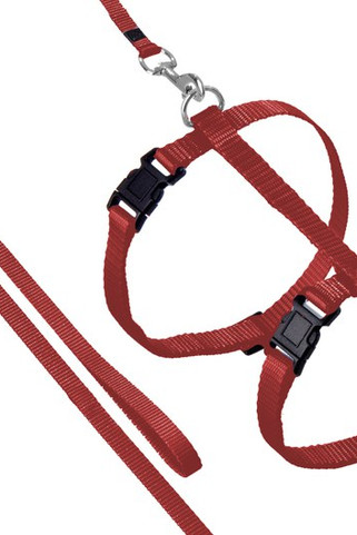 Flamingo f-1031211 - Harnais Réglable pour Chats avec Laisse Robuste